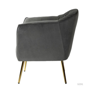 Adorn Homez Felipe Accent Chair in Premium Velvet Fabric