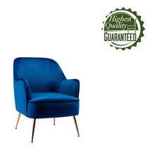 Load image into Gallery viewer, Adorn Homez Kevin Accent Chair in Fabric