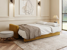 Load image into Gallery viewer, Adorn Homez Claven 3 Seater Sofa Bed with Storage in Premium Velvet Fabric
