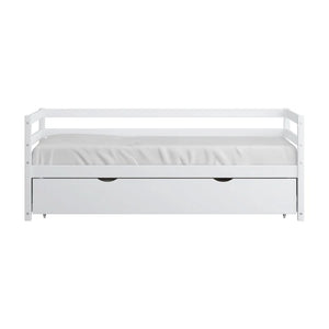 Adorn Homez Belita Trundle Wooden Daybed Without Storage