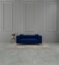 Load image into Gallery viewer, Adorn Homez Jack 2 Seater Sofa in Premium Velvet Fabric
