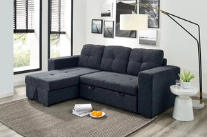 Adorn Homez Illinois Sofa Bed with Storage in Fabric